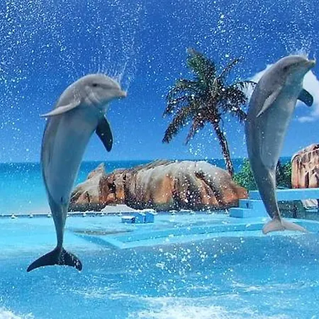 Spacious In Albufeira 80 M² With Shared Pool