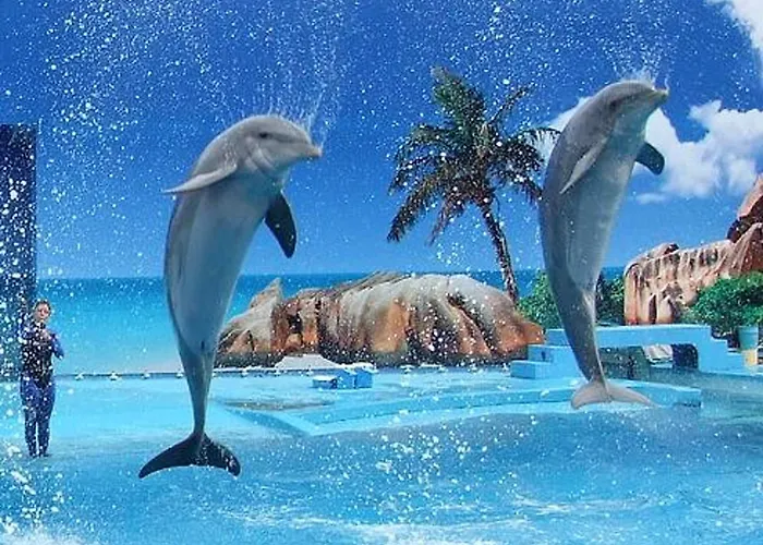 Spacious In Albufeira 80 M² With Shared Pool